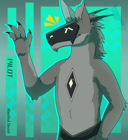 halfbody, cel shading